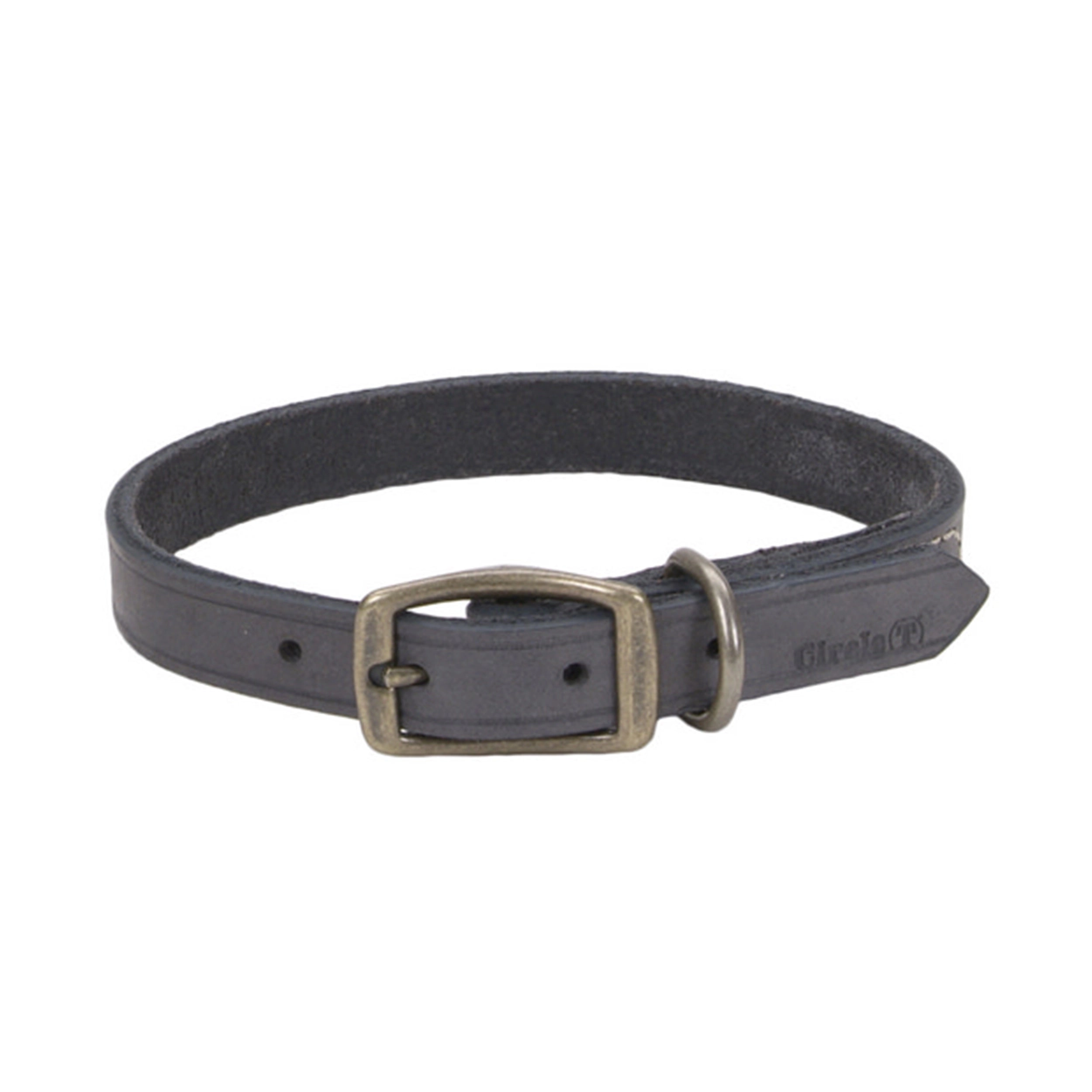 Circle T® Rustic Leather Town Dog Collar, Medium 20"