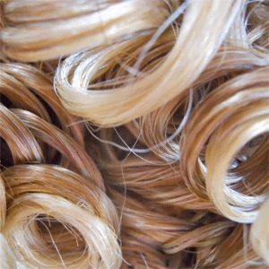 Paper Doll by Forever Young | Synthetic Bob Wig | CLOSEOUT