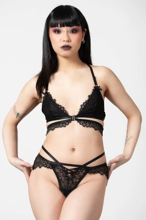 Phantom Lace Panty