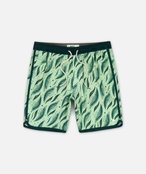 Session Short - Seafoam
