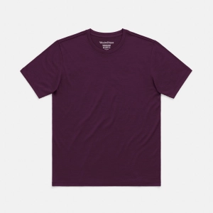 Signature Crew Neck Tee