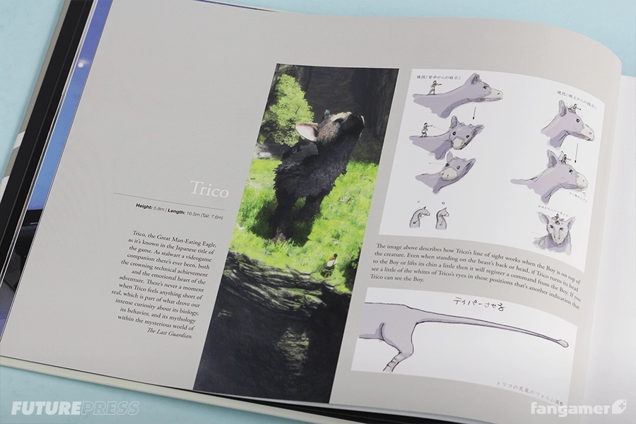The Last Guardian: An Extraordinary Story