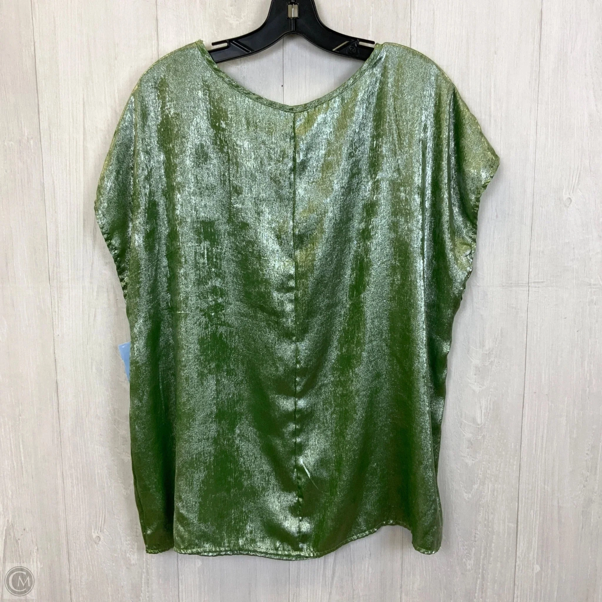Top Sleeveless By Clothes Mentor In Green & Silver, Size: 1x